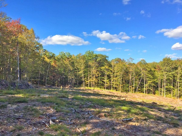 Lot 3 Locke Hill Road Wendell, MA 01379 - Photo 12 of 20 Gallery Image 12