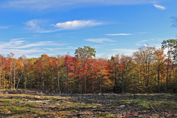 Lot 3 Locke Hill Road Wendell, MA 01379 - Photo 13 of 20 Gallery Image 13