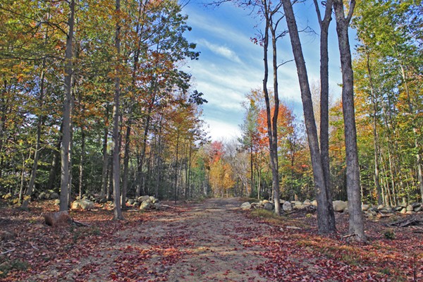Lot 3 Locke Hill Road Wendell, MA 01379 - Photo 17 of 20 Gallery Image 17