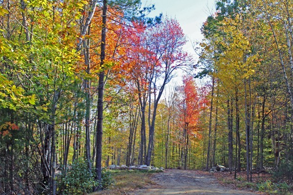 Lot 3 Locke Hill Road Wendell, MA 01379 - Photo 18 of 20 Gallery Image 18