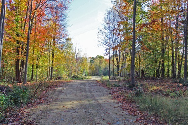 Lot 3 Locke Hill Road Wendell, MA 01379 - Photo 5 of 20 Gallery Image 5