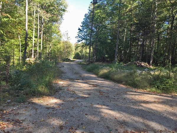 Lot 3 Locke Hill Road Wendell, MA 01379 - Photo 6 of 20 Gallery Image 6