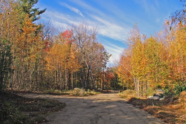 Lot 3 Locke Hill Road Wendell, MA 01379 - Photo 7 of 20 Gallery Image 7