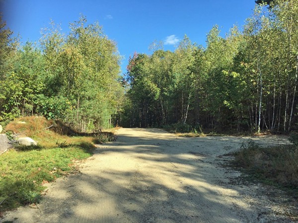 Lot 3 Locke Hill Road Wendell, MA 01379 - Photo 8 of 20 Gallery Image 8