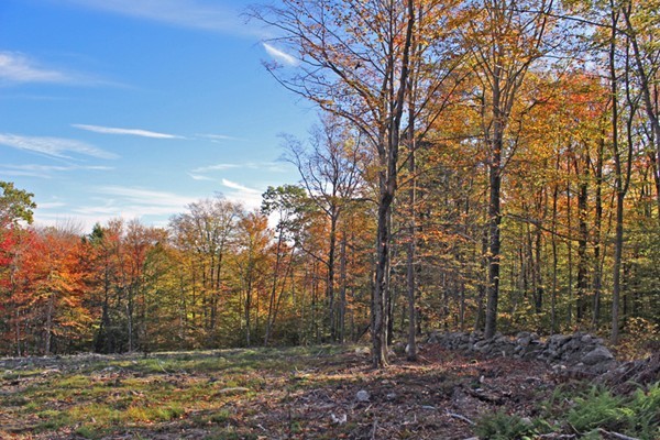 Lot 3 Locke Hill Road Wendell, MA 01379 - Photo 9 of 20 Gallery Image 9