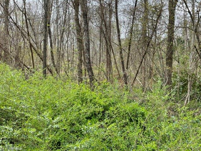 0 Old Walker Mill Road Randleman, NC 27317 - Photo 1 of 4
