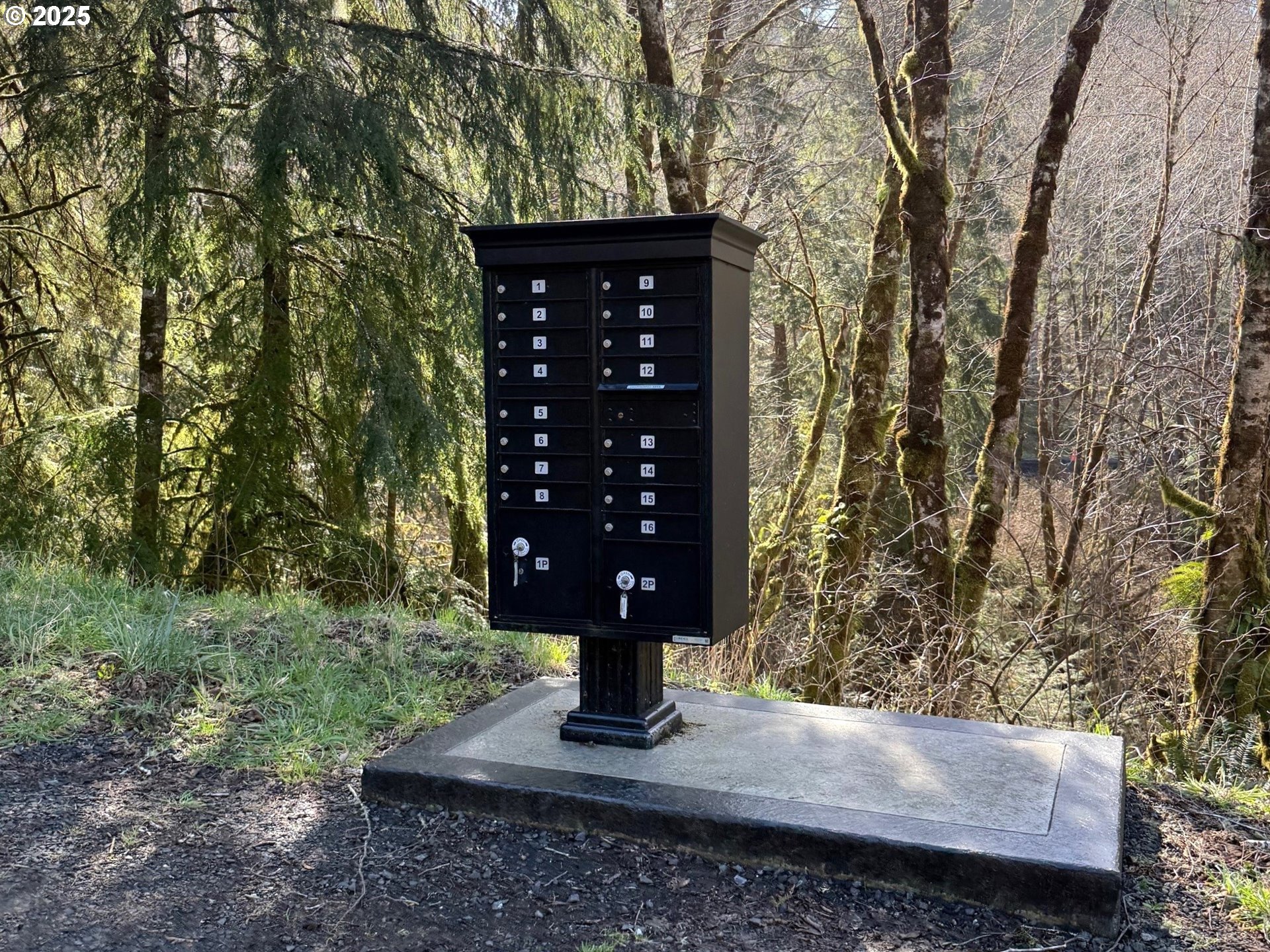 7 Fiddle Back Road, Unit LOT #7 North Bend, OR 97459 - Photo 12 of 13