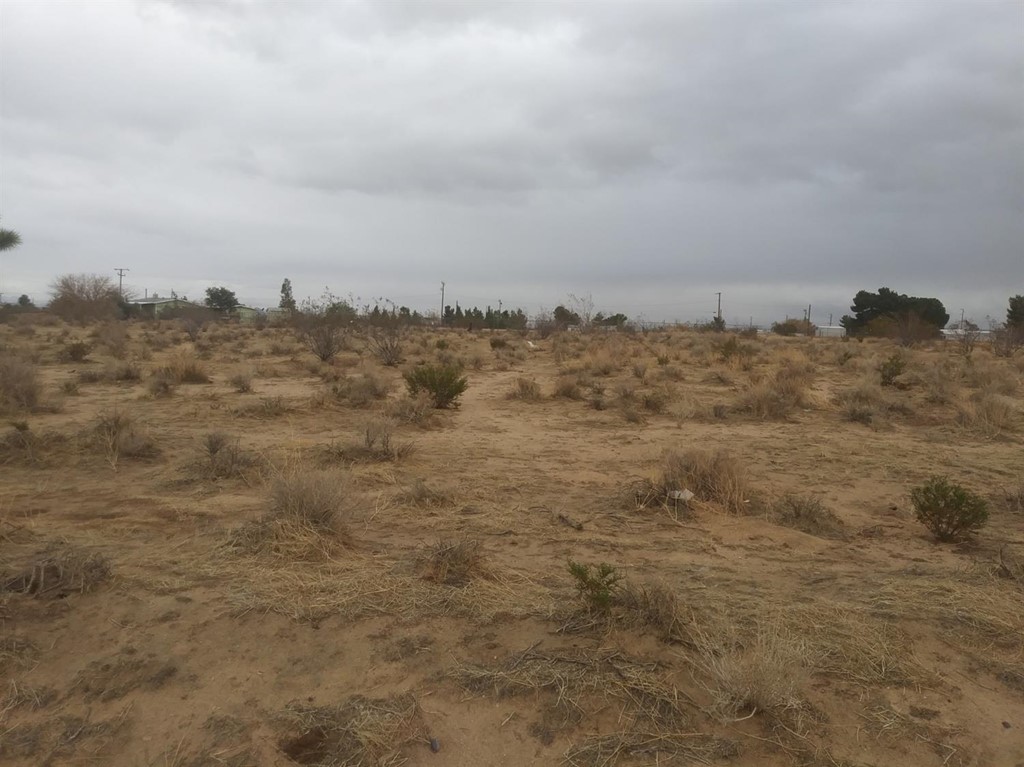0 Oxford Road Phelan, CA 92371 - Photo 1 of 1 a view of a dry yard with lots of trees