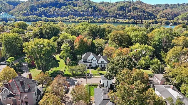 an aerial view of residential houses with outdoor space and trees