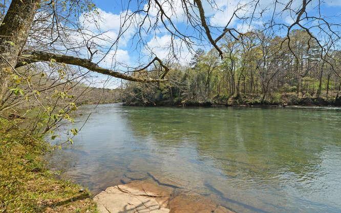 390 Colony Cove Alpharetta, GA 30022 - Photo 34 of 41 a view of a yard with a tree
