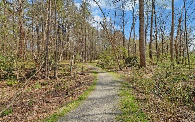 390 Colony Cove Alpharetta, GA 30022 - Photo 35 of 41 a view of pathway with yard