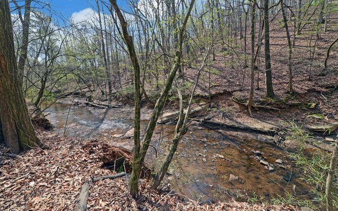 390 Colony Cove Alpharetta, GA 30022 - Photo 37 of 41 a view of a yard with large trees