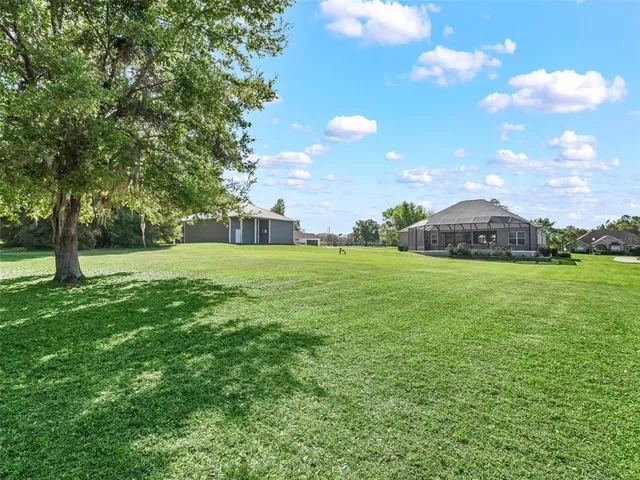 a view of a tree in front of a house with a big yard