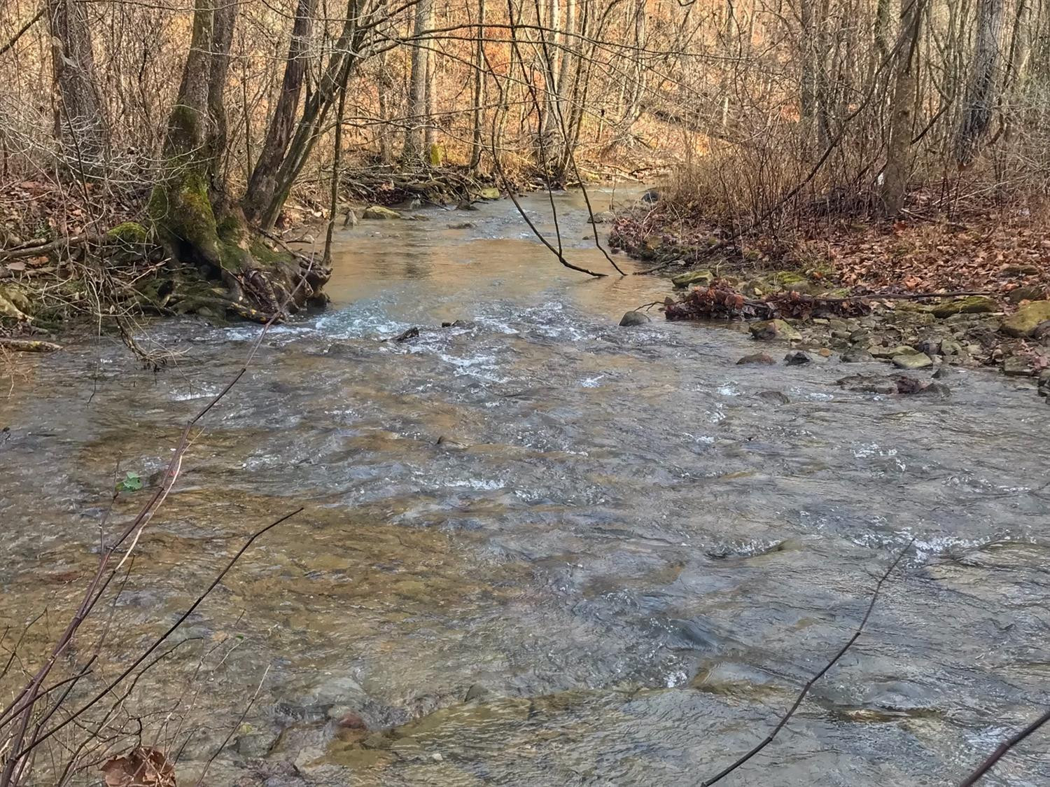2 Otter Creek Road Manchester, KY 40962 - Photo 2 of 51 Photo 2