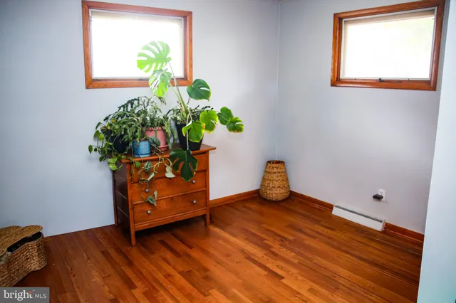 a room with painting on the wall and a potted plant