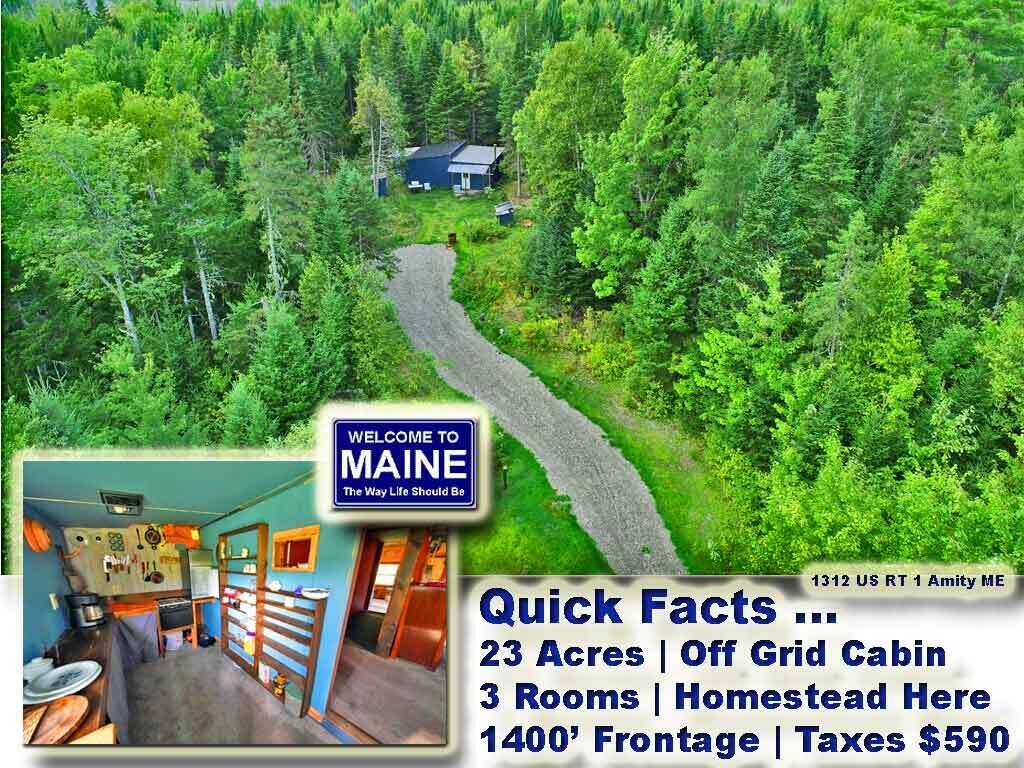 me-off-grid-homesteading-la