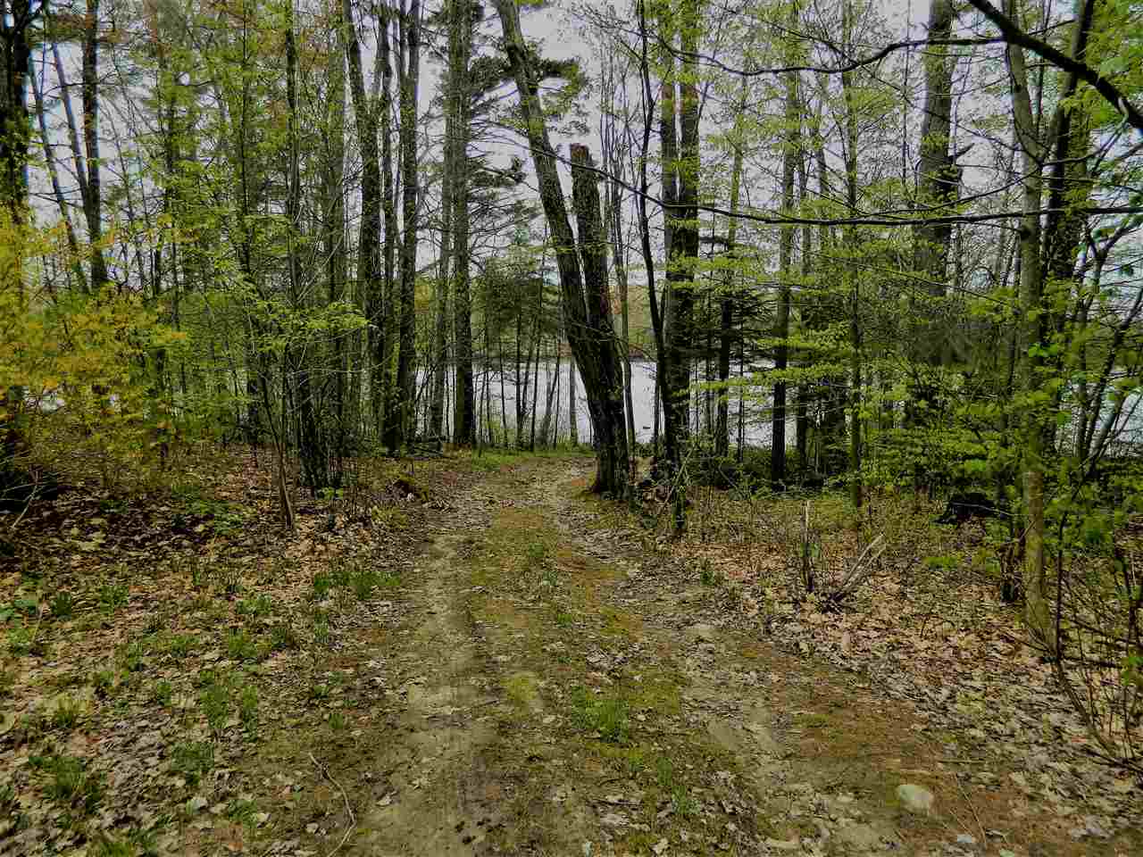 22 Pine Eden Road Rindge, NH 03461 - Photo 6 of 21