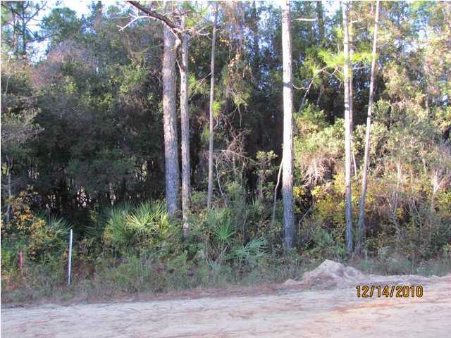 Lot21 Taurus Drive Santa Rosa Beach, FL 32459 - Photo 3 of 5 Gallery Image 3