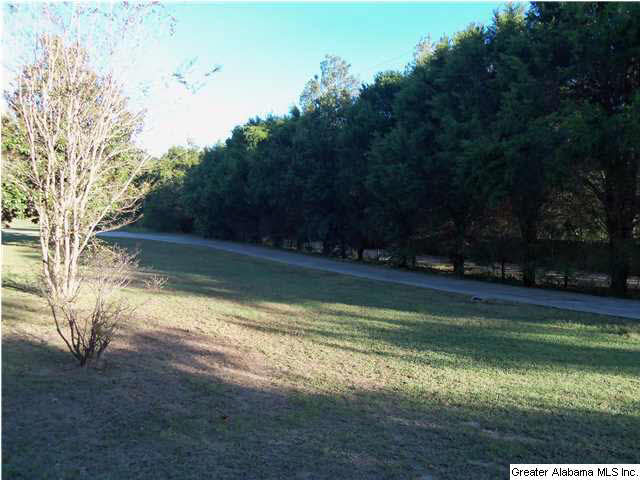 6841 Chesser Road Bessemer, AL 35023 - Photo 3 of 26