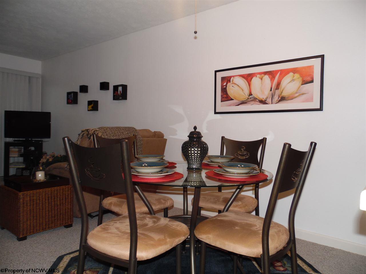 253 Beaver Ridge Davis, WV 26260 - Photo 4 of 7 Gallery Image 4