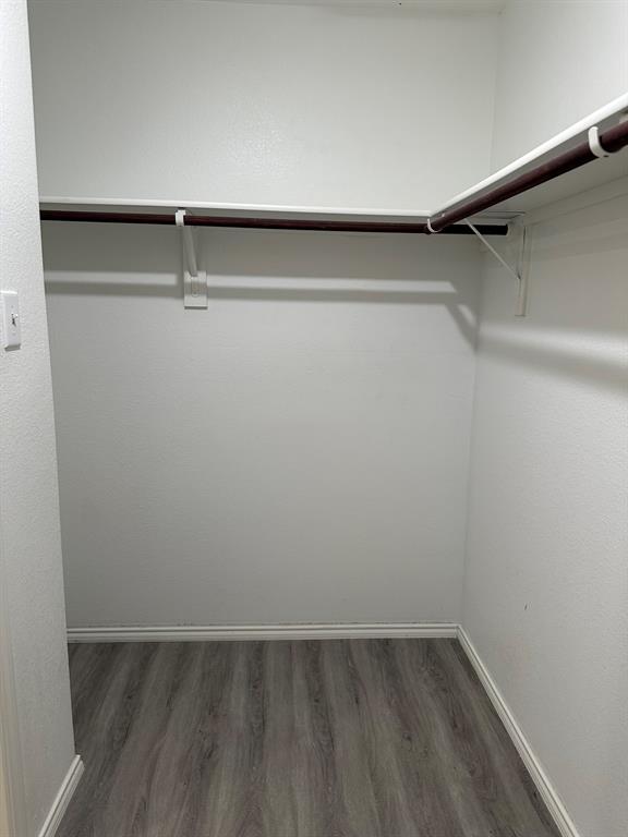 5906 Nyquist Way Forney, TX 75126 - Photo 14 of 27 Spacious closet featuring wood finished floors