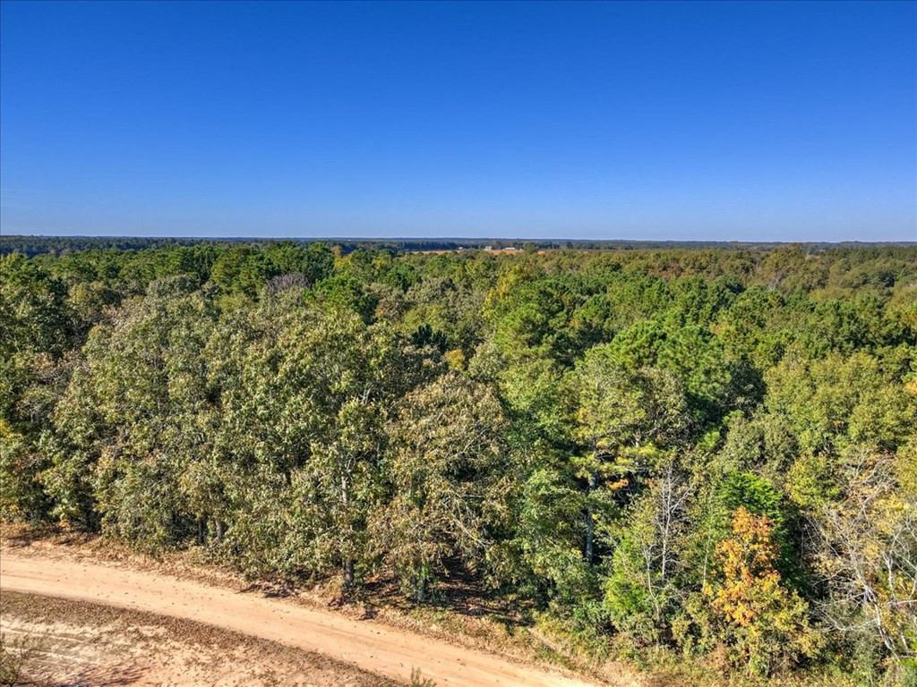 0 Broomstraw Road Johnston, SC 29832 - Photo 16 of 22