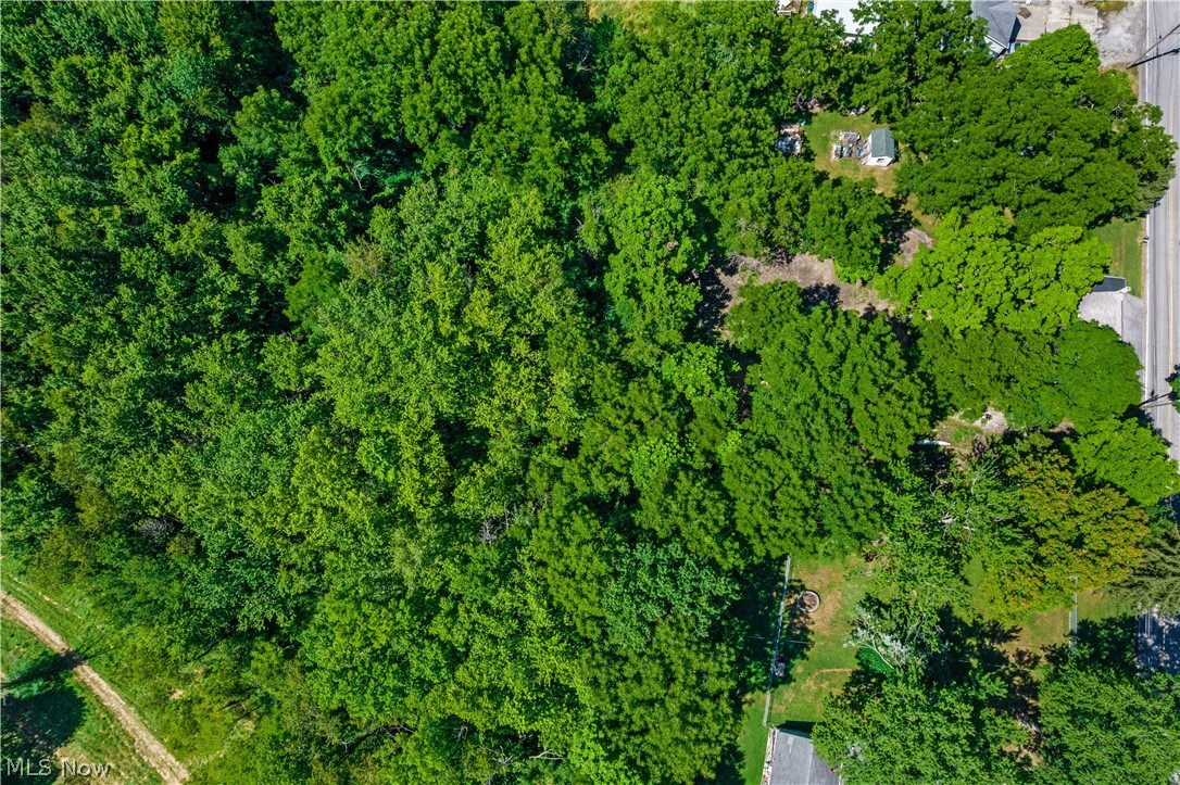 12551 Portage Street Rittman, OH 44270 - Photo 10 of 34