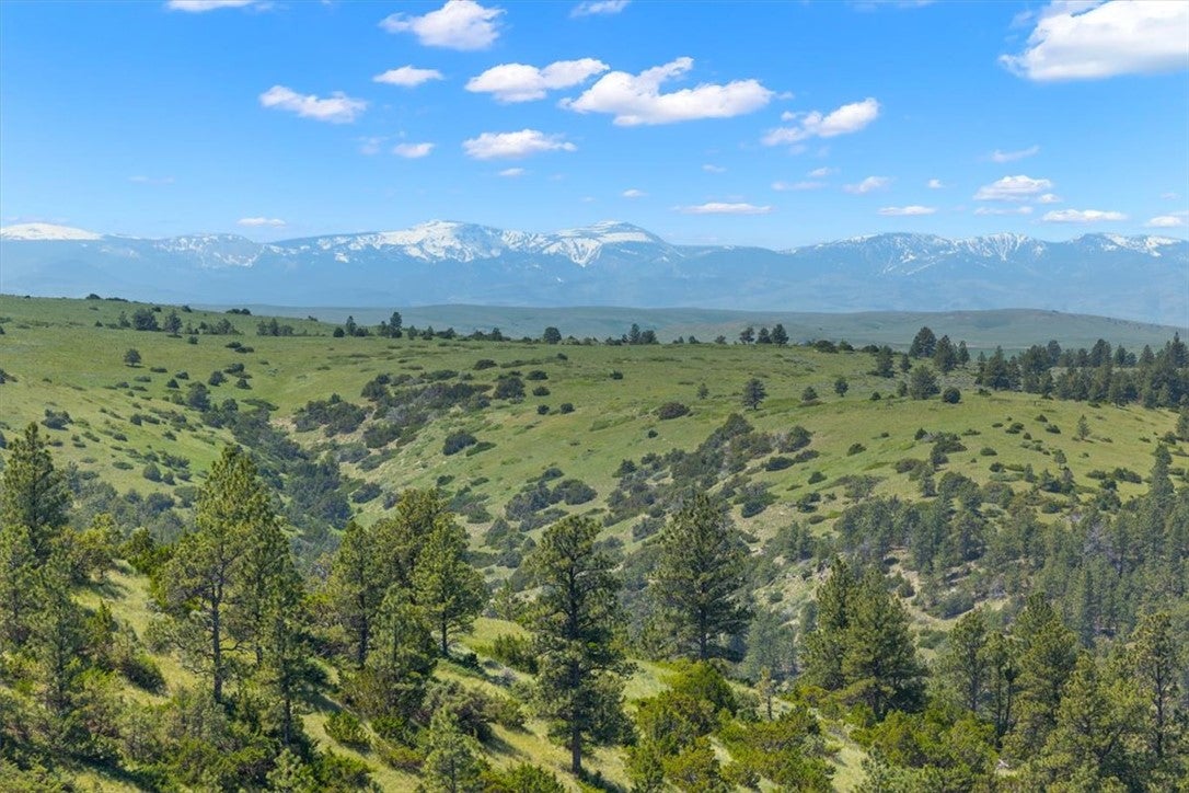 23 Beartooth Lane Columbus, MT 59019 - Photo 3 of 29 Gallery Image 3
