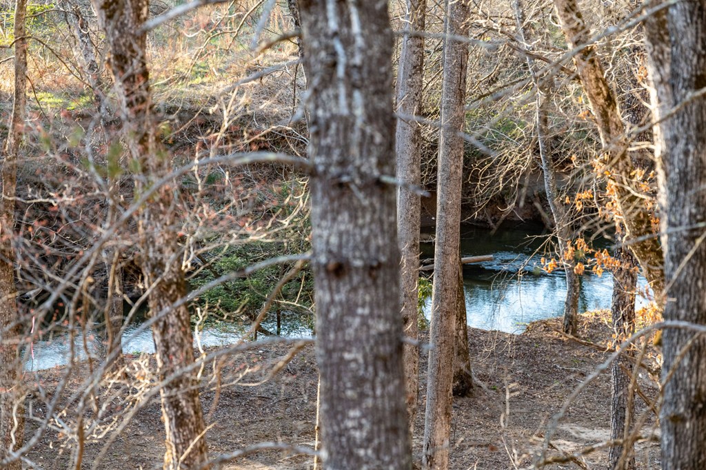 287 Cool Creek Trail Blue Ridge, GA 30513 - Photo 35 of 71 Gallery Image 35