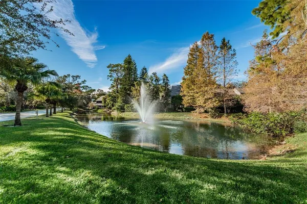 a view of lake background with house