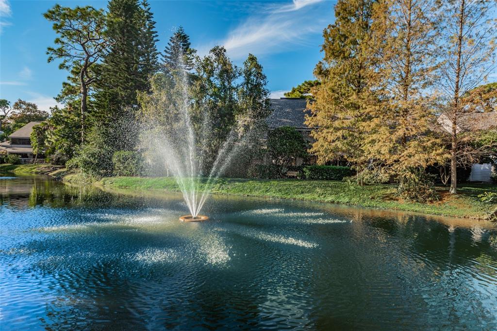 802 Lennox Road West, Unit 802 Palm Harbor, FL 34683 - Photo 27 of 42 a view of lake background with house