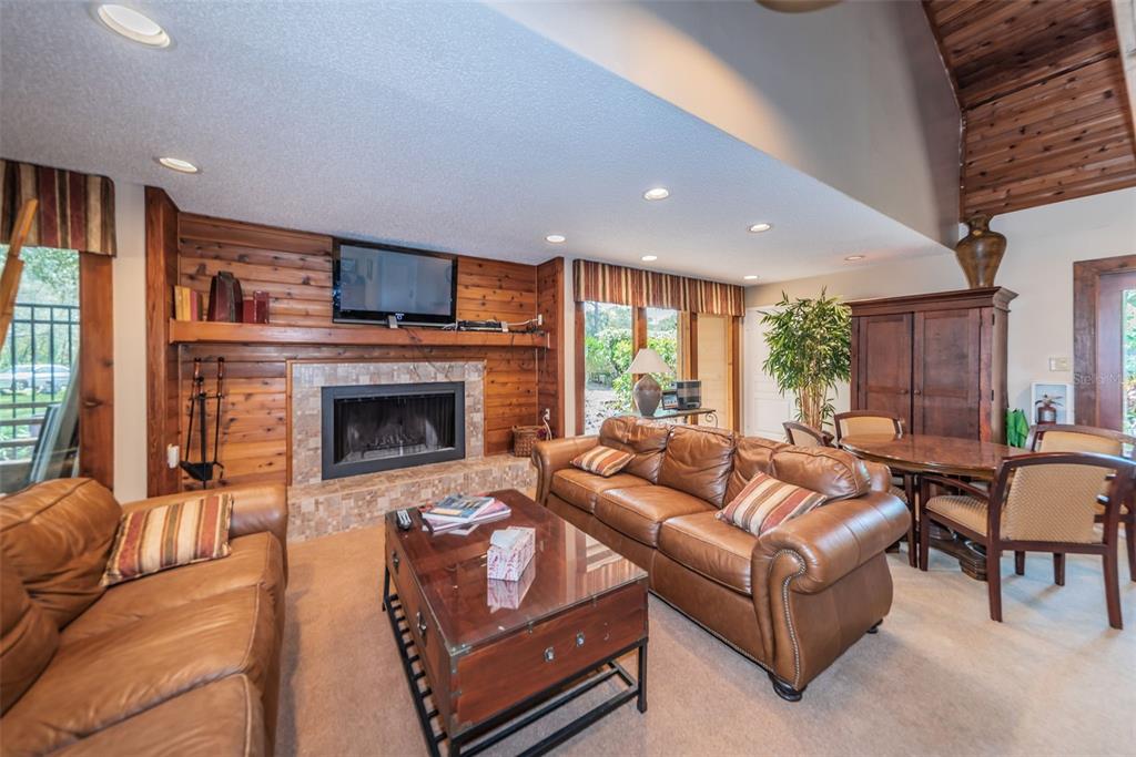 802 Lennox Road West, Unit 802 Palm Harbor, FL 34683 - Photo 31 of 42 a living room with furniture a large window and a fireplace