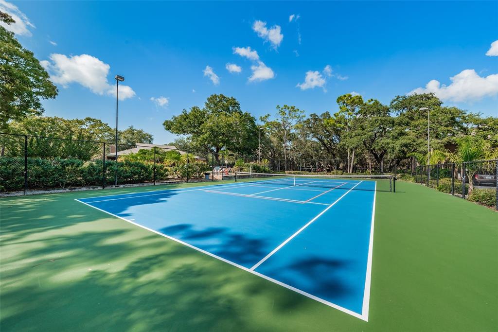 802 Lennox Road West, Unit 802 Palm Harbor, FL 34683 - Photo 40 of 42 a view of a tennis court