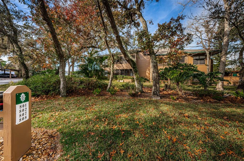 802 Lennox Road West, Unit 802 Palm Harbor, FL 34683 - Photo 42 of 42 a view of street
