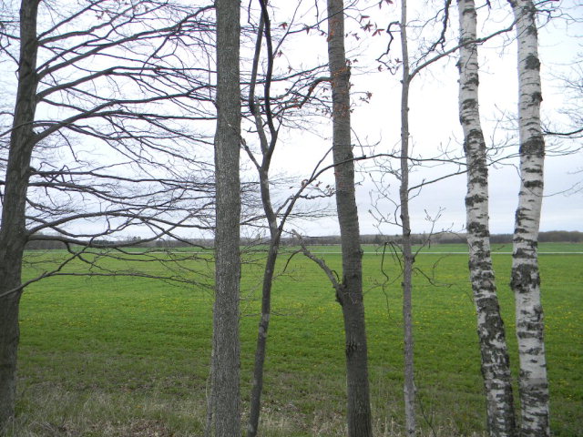 6320 Jorns Road Jacksonport, WI 54209 - Photo 6 of 6