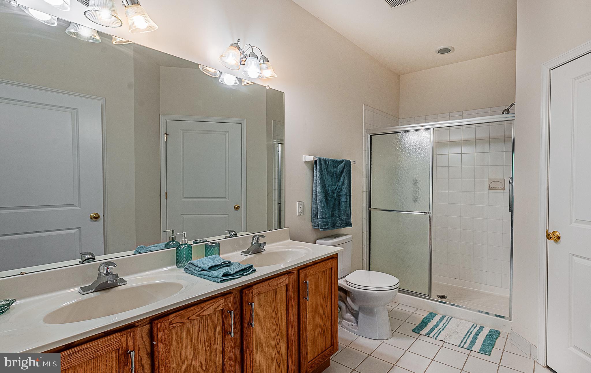 313 Raphael Court Williamstown, NJ 08094 - Photo 13 of 21 Master Bathroom