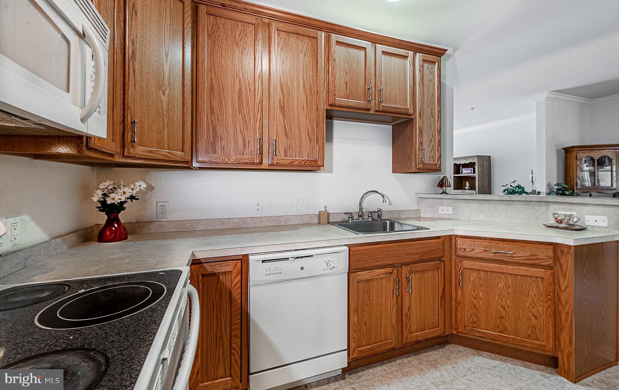 313 Raphael Court Williamstown, NJ 08094 - Photo 8 of 21 Kitchen