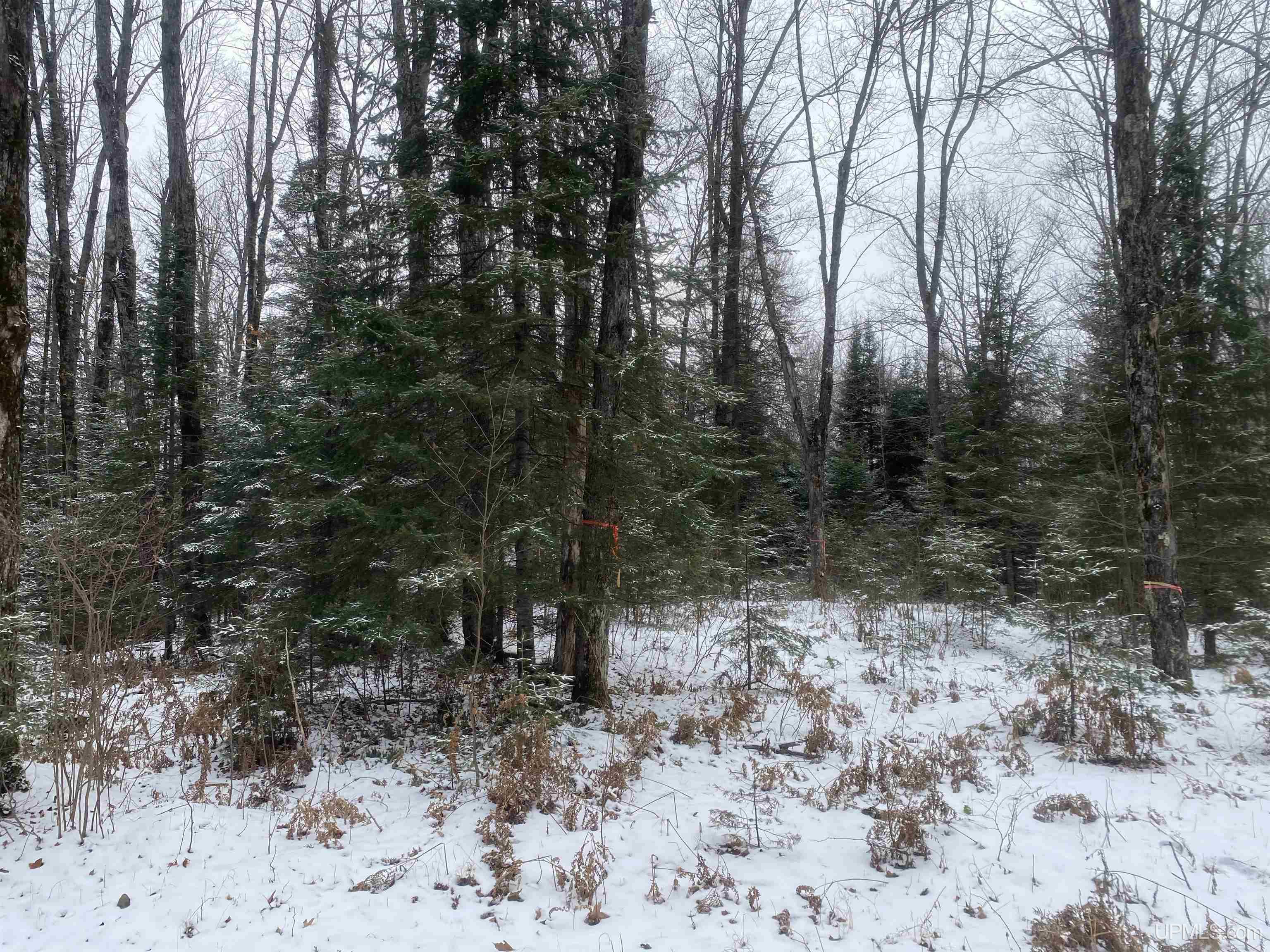 Tbd Pomeroy Lk Road Marenisco, MI 49947 - Photo 5 of 6