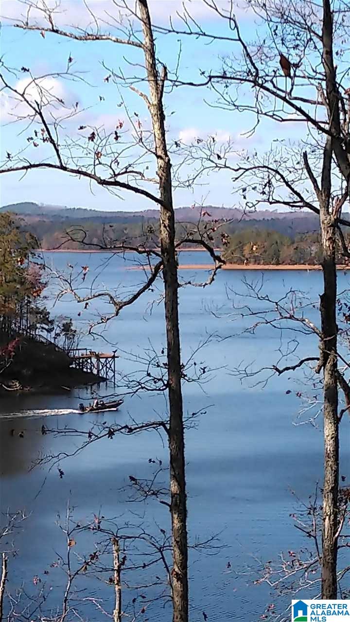 Lot 150 County Road 804, Unit 150 Wedowee, AL 36278 - Photo 3 of 8