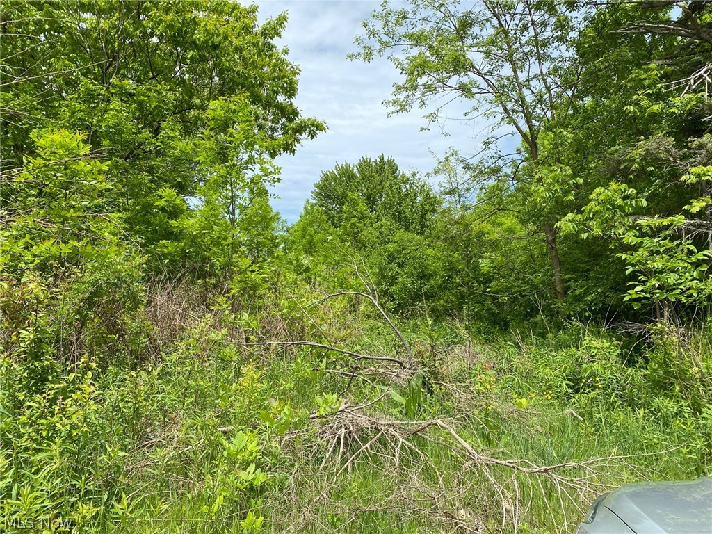 5323 North River Road West Geneva, OH 44041 - Photo 1 of 5