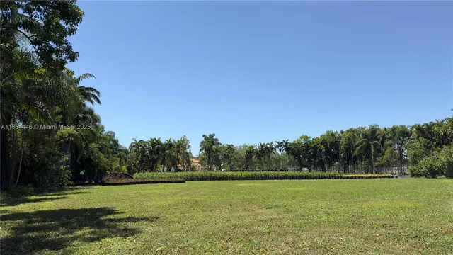 a view of a field with trees in the background