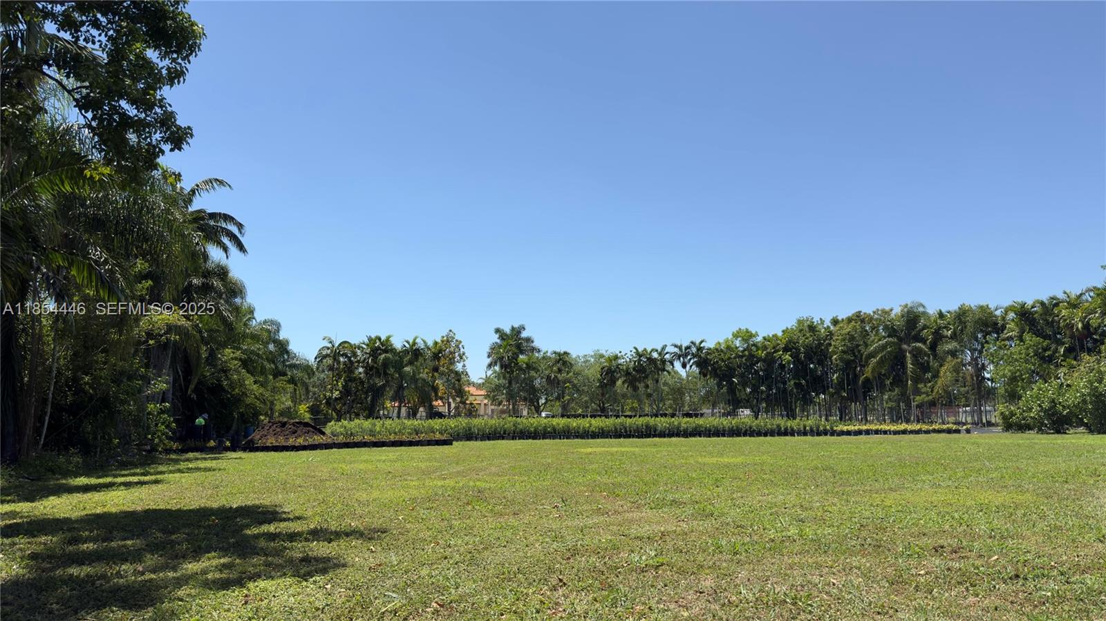 20995 Southwest 240th Street Homestead, FL 33031 - Photo 2 of 2 a view of a field with trees in the background