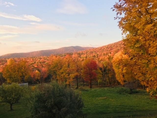 911 Shaw Road Roxbury, VT 05669 - Photo 13 of 37