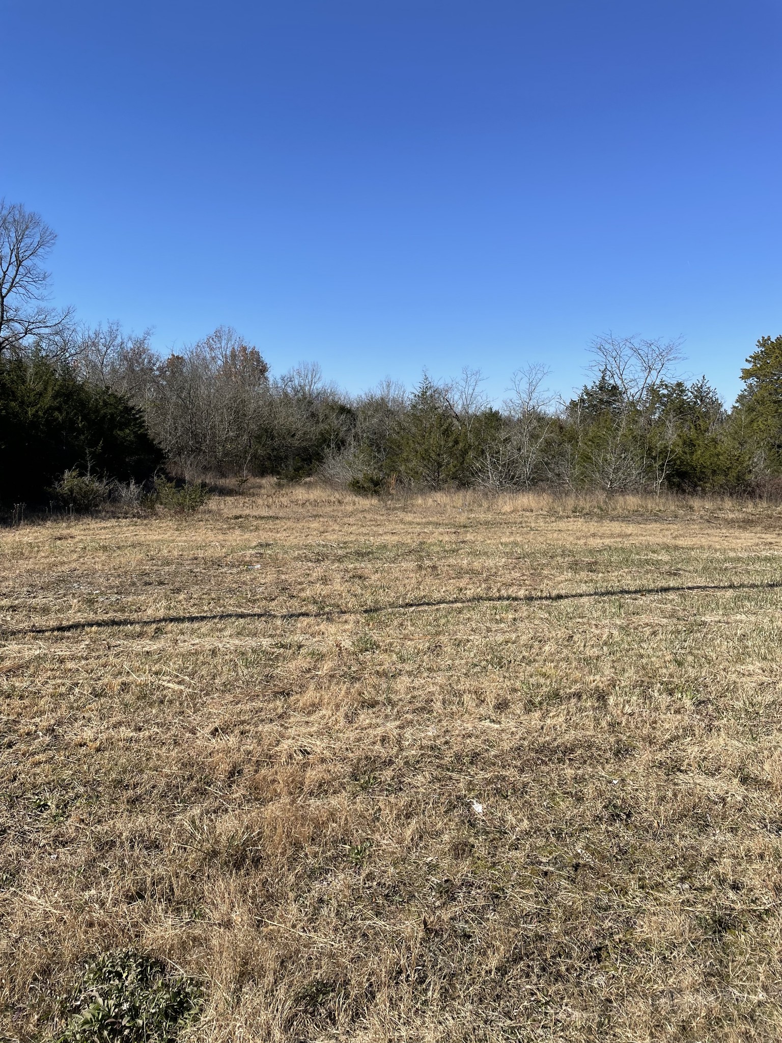 0 Jackson Ridge Road Rockvale, TN 37153 - Photo 1 of 6 Gallery Image 1