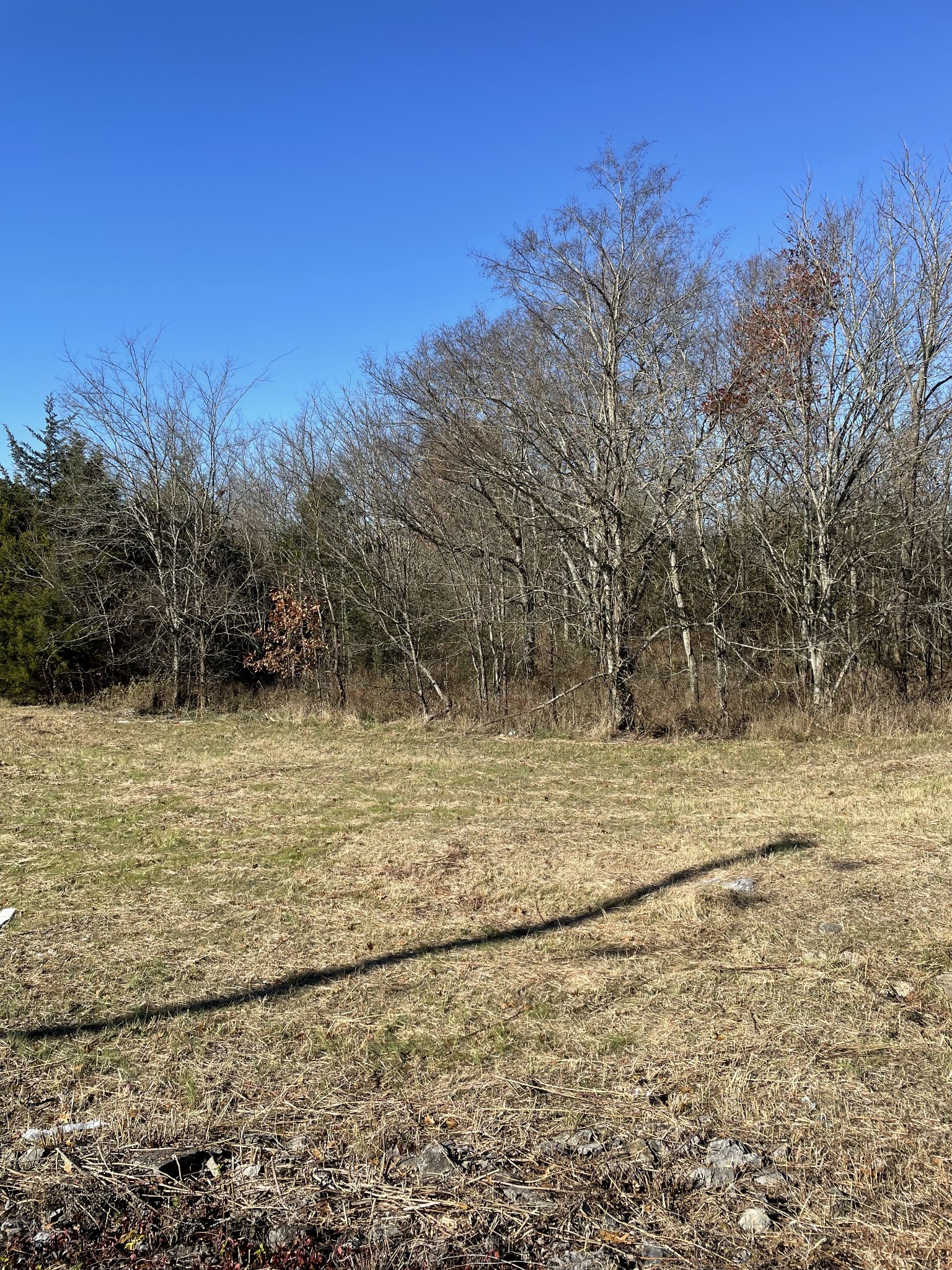 0 Jackson Ridge Road Rockvale, TN 37153 - Photo 3 of 6 Gallery Image 3