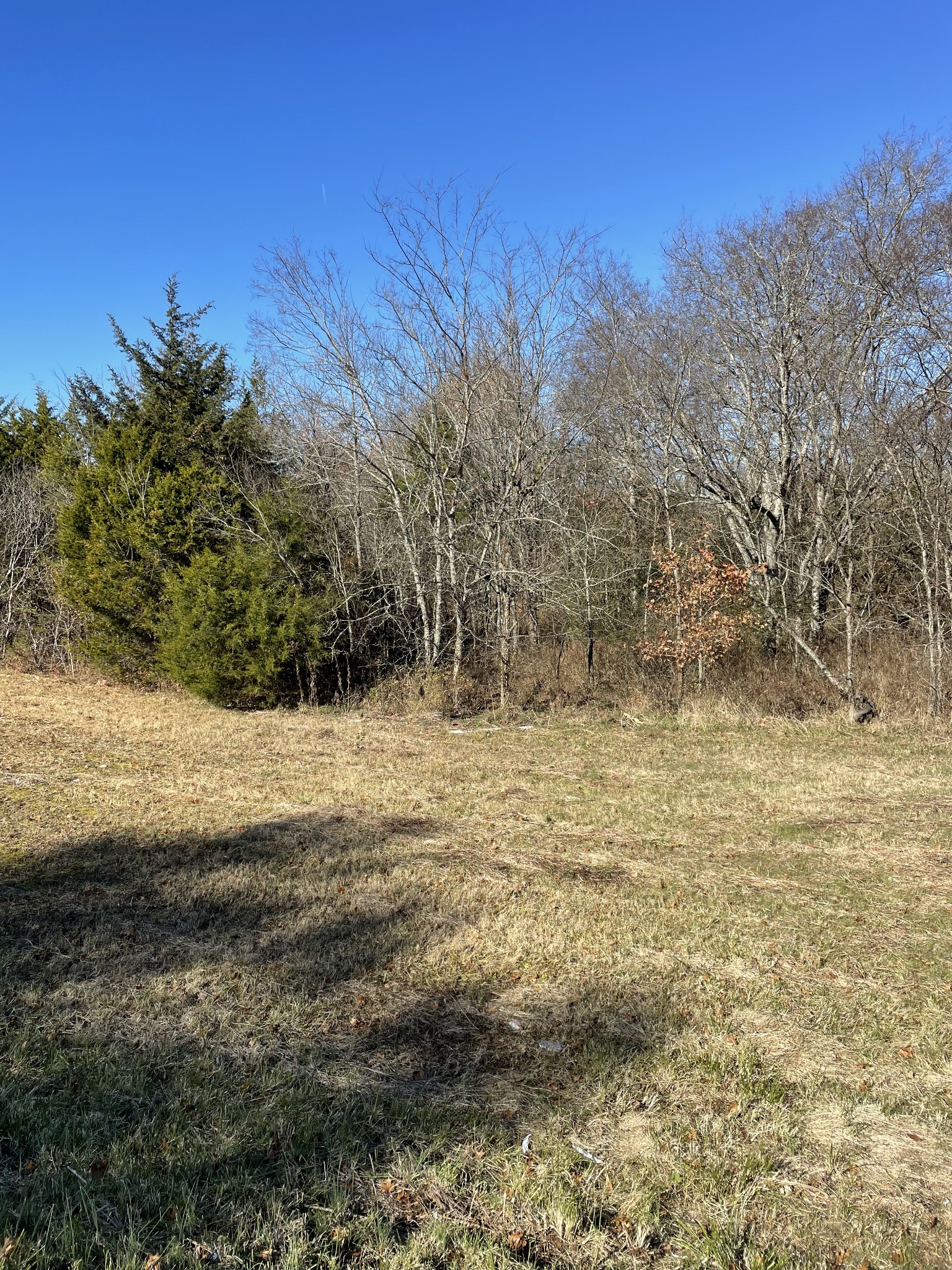 0 Jackson Ridge Road Rockvale, TN 37153 - Photo 4 of 6 Gallery Image 4