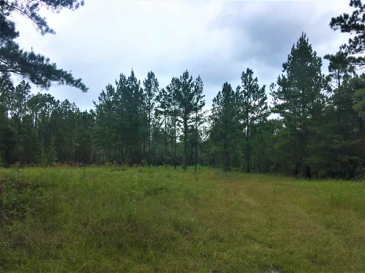 0 Dyas Road Perdido, AL 36562 - Photo 7 of 7