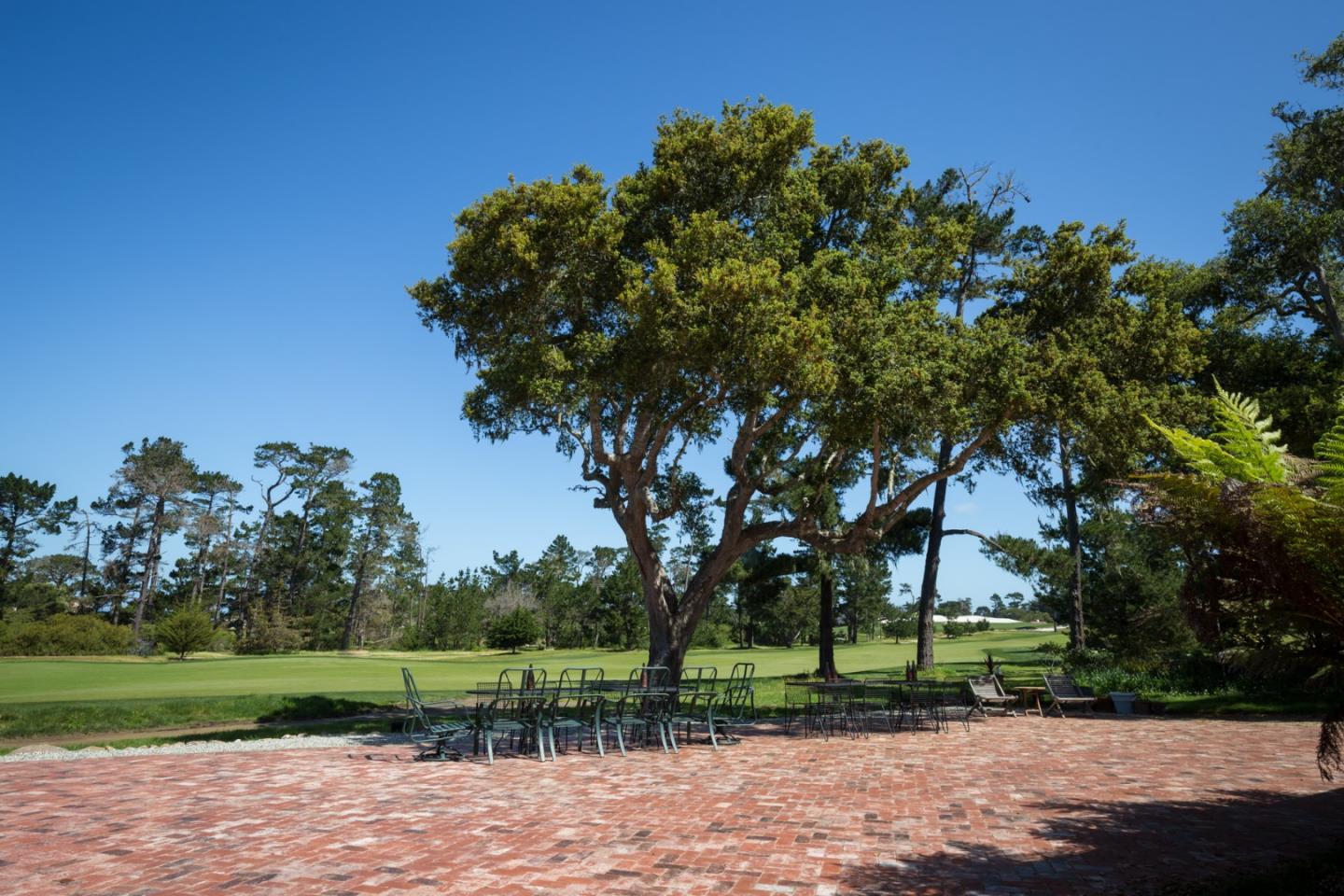1001 San Carlos Road Pebble Beach, CA 93953 - Photo 17 of 25 Gallery Image 17