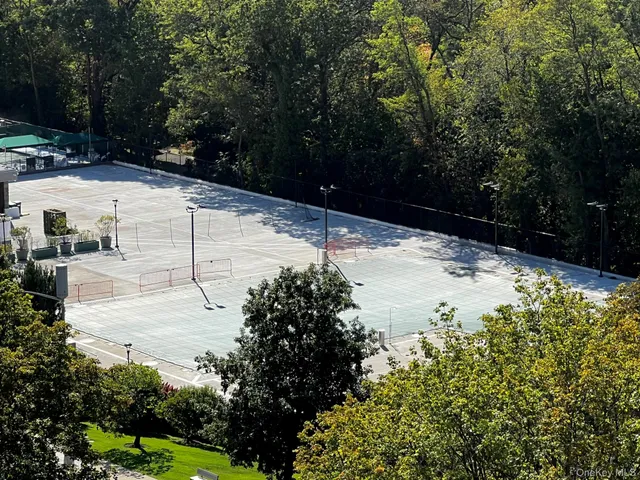 a view of a pathway of a yard