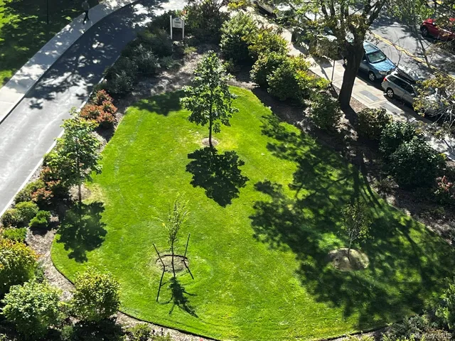 a backyard of a house with lots of green space
